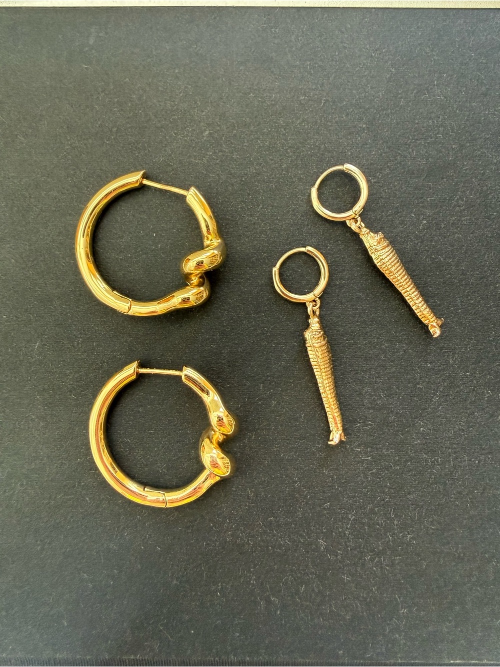 Pair of Statement Earrings